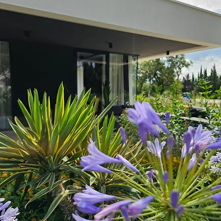 Villa Eta *