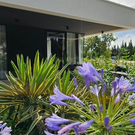 Villa Eta *